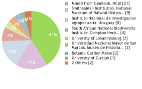 Image result for Conyza limosa