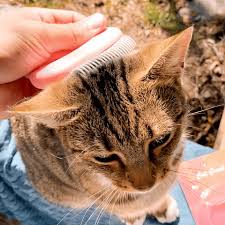 Check out our cat hair removal selection for the very best in unique or custom, handmade pieces from our waxing & sugaring shops. Cat Hair Removal Massaging Shell Comb Lovepawz