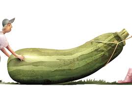 All parts of the avocado including the skin, fruit, seed and leaves contain a compound called persin that is highly. Too Much Zucchini Nah There Can Never Be Too Many Pittsburgh Post Gazette