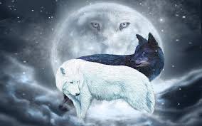 Yin and yang dragons by aqvalung on deviantart. Ying Yang Wolves Moon Clouds Black And White Ying Yang Fantasy Wolves Hd Wallpaper Peakpx