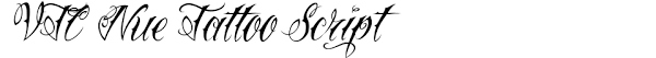 You can download and use the font free for personal projects. Vtc Nue Tattoo Script Font Download