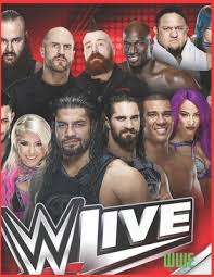 The company that develops coloring book for wwe fans is best coloring book drawing studioxo. Wwe Coloring Book For Kids And Adults With Fun Easy And Relaxing Paperback Vroman S Bookstore