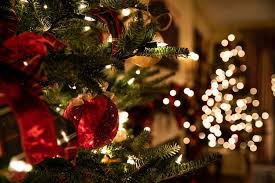 Buone feste means happy holidays (it means both merry christmas and happy new year) Here S How To Say Merry Christmas In 16 Different Languages