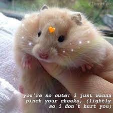 Pin On Love Memes