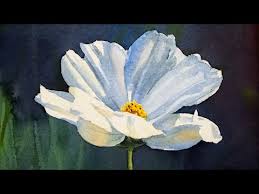 Check spelling or type a new query. Watercolor Painting A Cosmos Flower Youtube
