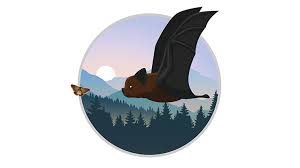 Ausmalbild Fledermaus Olis Bahnwelt