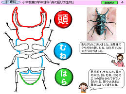 www.pref.akita.lg.jp