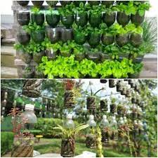 This video shows how to make amazing and beautiful vertical garden using waste plastic bottles. Vertical Gardening With Plastic Bottles For Dummies Gardening Tips