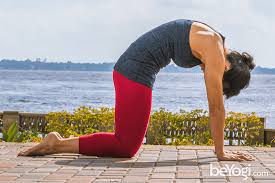 Cat pose often is combined with cow pose (bitilasana) to lengthen and open up your spine. Cat Pose