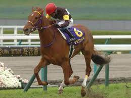 出走前の競走馬になった気分？ 一般人は入れない「競馬場の裏側」撮影した動画が話題 2020/03/23 (月) 18:00 Jraå²ä¸Šä¸€ç•ªå¯æ„›ã„ç«¶èµ°é¦¬ã¨ã„ãˆã°