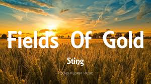 Youtube sting fields of gold. Sting Fields Of Gold Lyrics Youtube