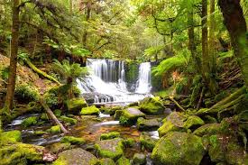 Tasmaniens Vackraste Naturomraden 10 Favoriter Natural Beauty Nature Tasmania