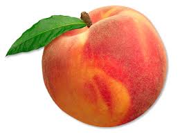Peach synonyms, peach pronunciation, peach translation, english dictionary definition of peach. Picking Peaches Fishers Orchard