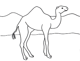 Hundreds of free spring coloring pages that will keep children busy for hours. Camel Coloring Page Art Starts