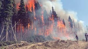 Update this logo / details. Bc Wildfire And Bc Flood Information And Precautions