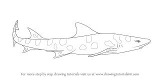We did not find results for: Learn How To Draw A Leopard Shark Fishes Step By Step Drawing Tutorials