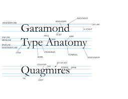 Type Anatomy Chart Type Anatomy Anatomy Type