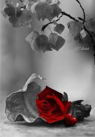 Black And White Vs Color Photography Woman Photography Black White Touch Art Color Community Google Color Splash Photography Color Splash Rose Pictures
