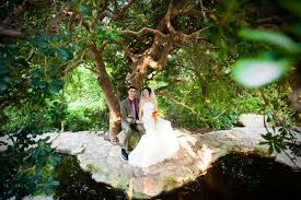 04 Bridal Portraits Zilker Botanical Garden Jpg 800 533 Backyard Wedding Wedding Offbeat Bride
