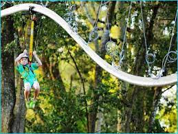 Zip Lines For Kids Backyard Home Build Designs Backyard For Kids Zip Line Backyard Backyard