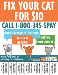 To prevent unwanted litters of kittens from being born this coming spring, local animal organizations in portland, oregon, are offering free spay/neuter. 25 Best Spay Neuter Ideas Spay Neuter Your Pet