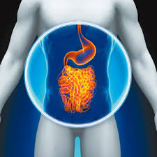 Best Ways To Battle Irritable Bowel Syndrome Harvard Health