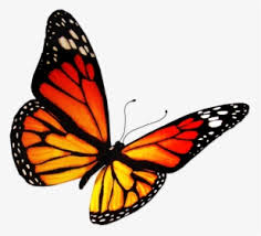 Especially kids feel very joyful when they see butterflies in garden. Real Butterfly Png Images Free Transparent Real Butterfly Download Kindpng