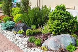 Landscaping With Rocks Instead Of Mulch Comparison Mulches give the landscape a finished look while also minimizing maintenance in garden beds. landscaping with rocks instead of mulch