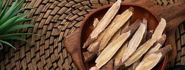 Image result for Astragalus