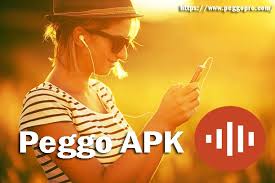 With installation from unknown sources enabled, peggo can now be installed by simply opening the downloaded peggo.apk (apk stands for android application . Peggo Apk Digital Video Recorder Dvr By Jean Jmajor Medium