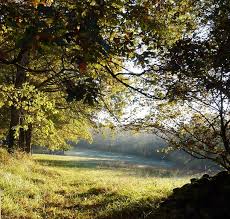 Le lac de bannac, à 2 pas, est une invitation à la balade. Flower Camping Le Lac Aux Oiseaux Martiel Reservez Vos Vacances