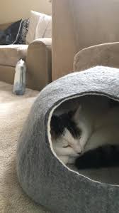 These felt cat caves are irresistible to your little friends as it's nice and cosy, exactly what they love. Sheep Wool Cat Cave Cocoon Bed Kivikis From Kedron Pet And Garden
