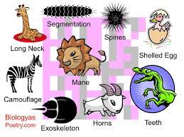 Adaptation Biology As Poetry