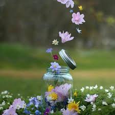 خلفيات ورد ملونة 2020 اجمل صور ورد 2021 فوتوجرافر flower aesthetic beautiful flowers wallpapers flower wallpaper