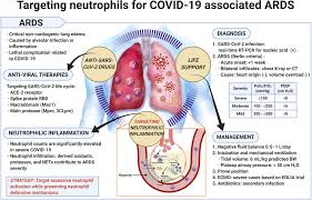 Other uses for colchicine include the prevention of pericarditis and familial. Frontiers Targeting Neutrophils To Treat Acute Respiratory Distress Syndrome In Coronavirus Disease Pharmacology