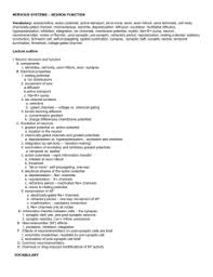 Neuron function 1 2 pogil™ activities for ap* biology 3 2 inside of cell outside of cell 1 a a a b b b c discuss this with your group members before writing an answer. Action Potential Neuron Activity Student Guide
