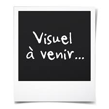 Tu peux aussi te rendre sur la page de démonstration pour découvrir prise2tete et apprendre le minimum requis afin affronter dans de bonnes conditions les énigmes du jeu. Cache Toi Si Tu Peux Achat Vente Livre Lgf Le Livre De Poche Parution 06 02 2008 Pas Cher Cdiscount
