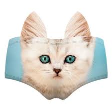 Cute cat canvas wall art: Kitty Cat 3d Ears Panties Various Designs Geekyget