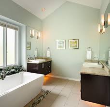 Sw6176 Liveable Green Green Bathroom Paint Light Green Bathrooms Bathroom Wall Colors