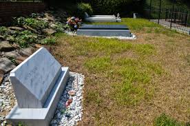 Butch Trucks (1947-2017) - Find a Grave Memorial