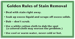 We did not find results for: Stain Removal Tips Clean Blenders Get Butter Out Molly Maid