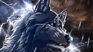 Check spelling or type a new query. Fantasy Wolf Hd Wallpapers Backgrounds