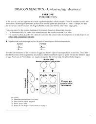 Some of the worksheets displayed are onion cell mitosis work answers pdf onion cell mitosis Academy Dragon Genetics