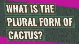 Hope it will help you. What Is The Plural Form Of Cactus Youtube