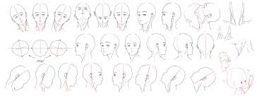 Resources Head Neck 1 Neck Drawing Drawing Tutorial Head And Neck