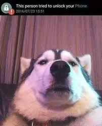 If your phone is still locked, contact verizon customer support to initiate a device unlock. Memechallenge This Person Tried To Unlock Your Phone Steemit