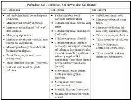 Terdapat perbedaan sel tumbuhan dan sel hewan yang bisa kita amati dari beberapa bagian dan fungsinya. Soal Latihan Akhir Semester Jelaskan Perbedaan Antara Sel Hewan Dengan Sel Tumbuhan Tulislah Brainly Co Id