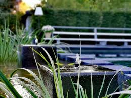 Sprudelsteine Im Schwimmteich Sprudelstein Quellstein Schwimmteich Biopool Naturpool Wasserpflanzen Gartendesign Gartenundlandschaftsbau Landscha Plants