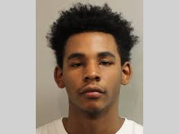 LCSO Daily Booking Report