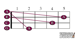 Shop wayfair for a zillion things home across all styles and budgets. Ukulele Tuner
